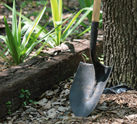 Clean Garden Tools