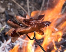 Grilling dogs