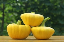 Patty pan squash