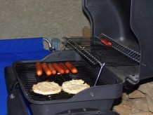 Propane grill