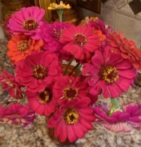 Zinnia Bouquet