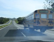 School Bus Safety