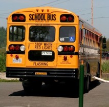 School Bus