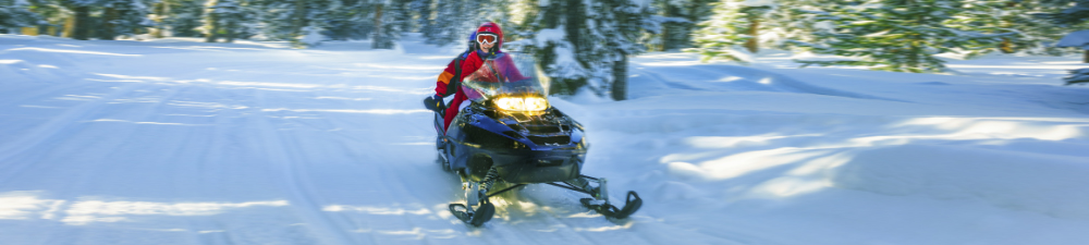 Snowmobile Insurance